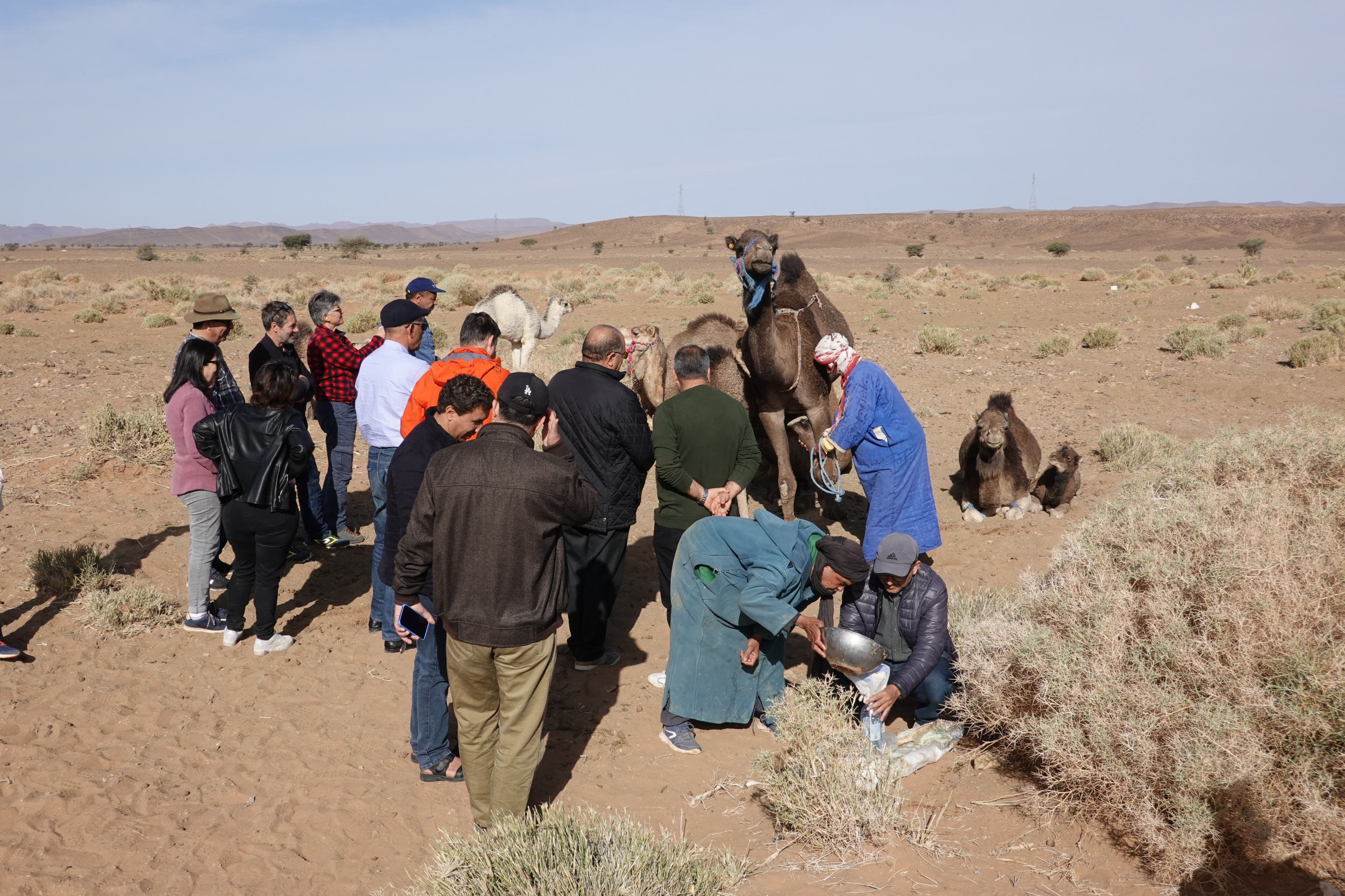 Dialogue entre Maroc, Tunisie et France sur la régulation pastorale et l’adaptation aux changements climatiques